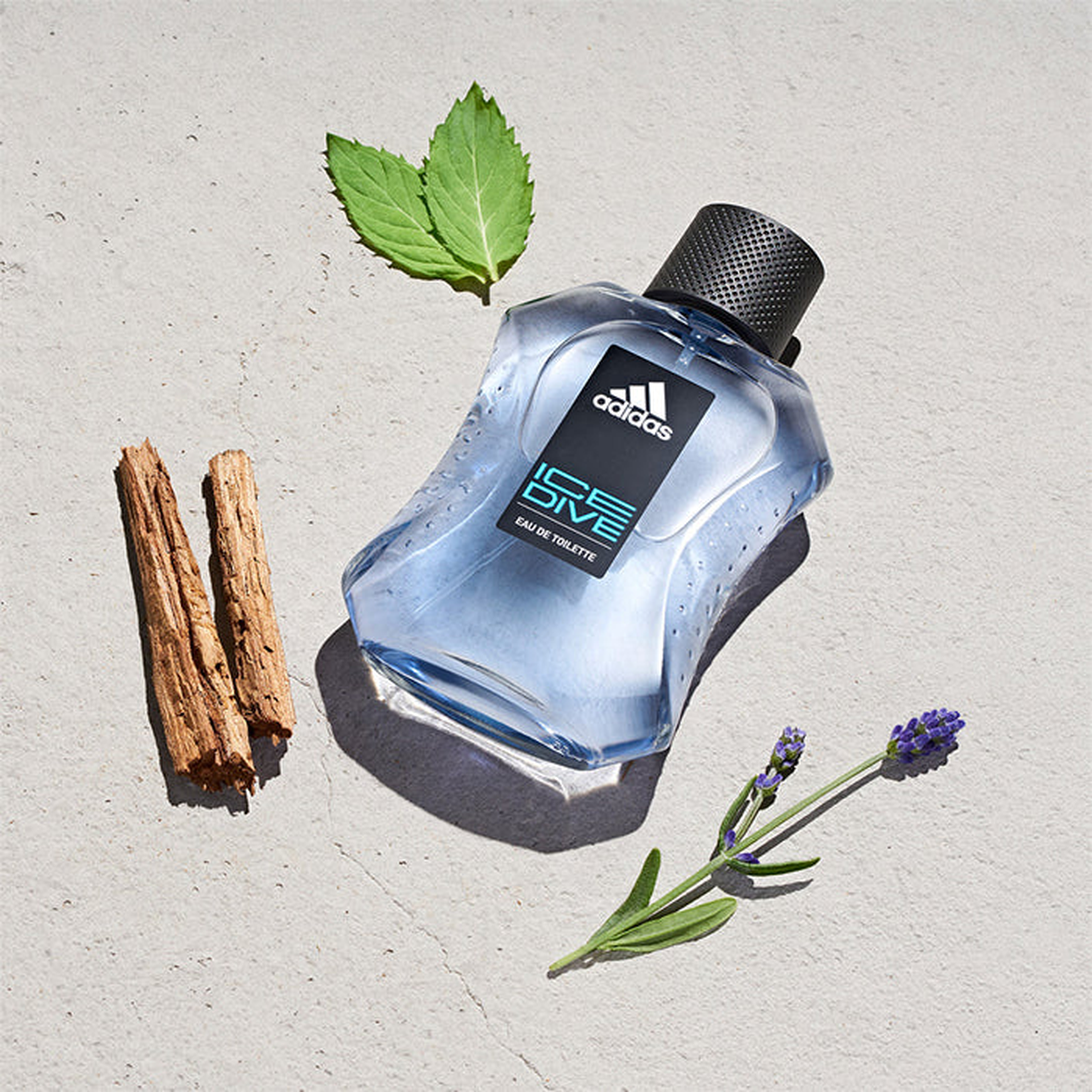 Adidas Ice Dive EDT for Men fragrance notes image