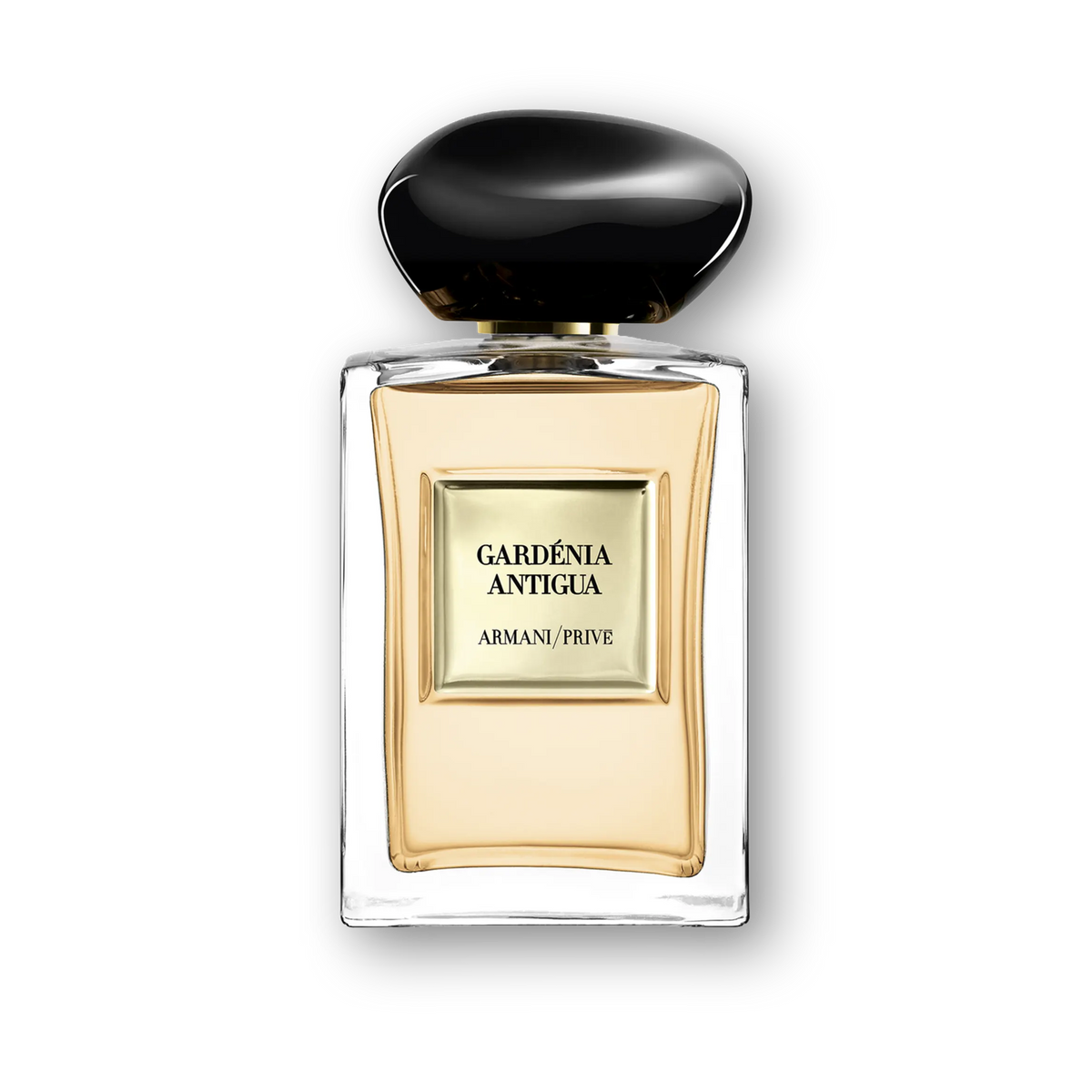 Shop Giorgio Armani Prive Gardenia Antigua EDT 100ml | My Perfume