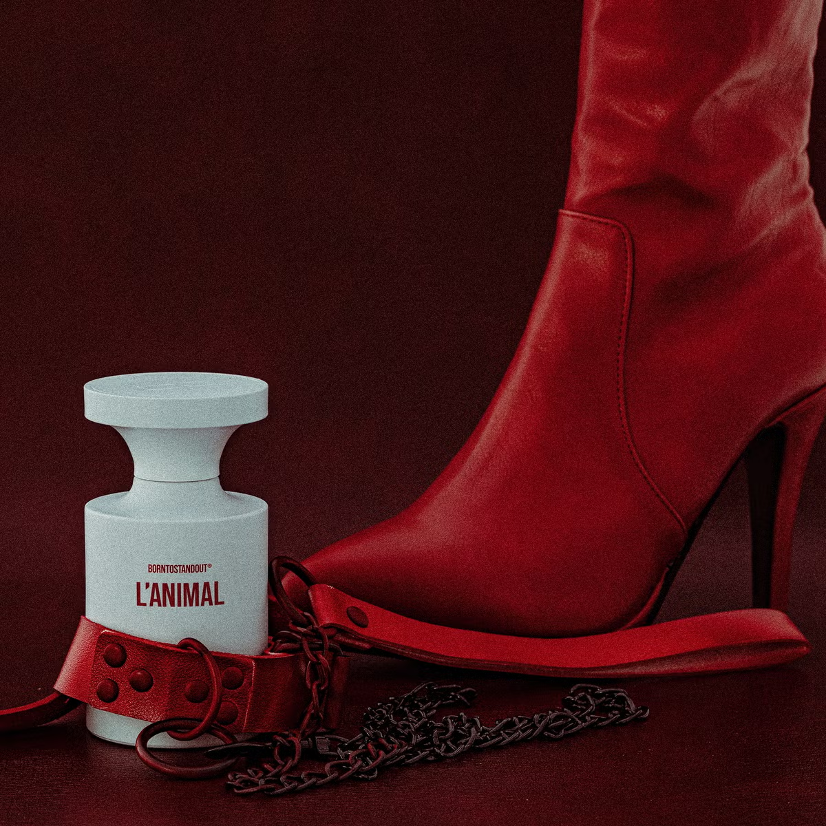 BORNTOSTANDOUT L'Animal EDP fragrance notes image