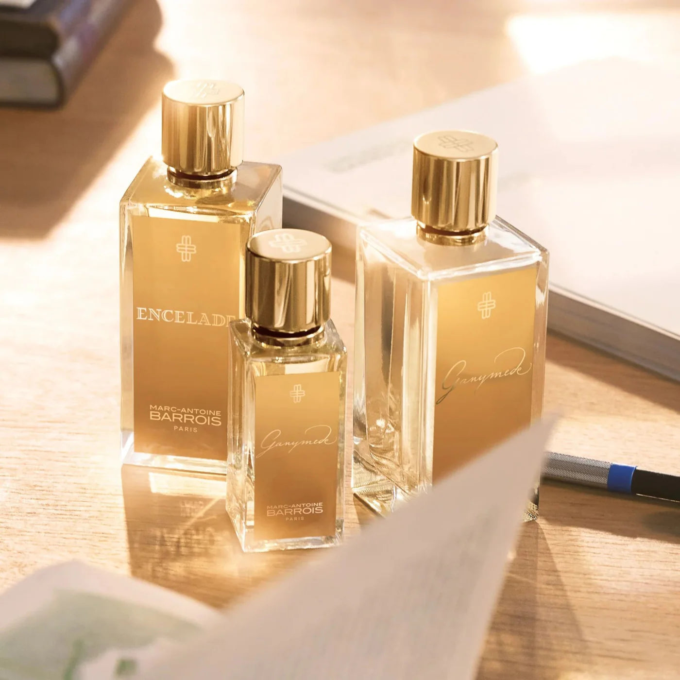 Marc Antoine Barrois Ganymede EDP