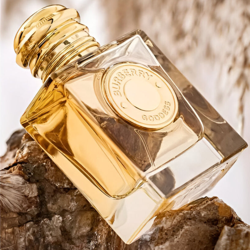 عطر بربري غوديس أو دي بارفان مكثف