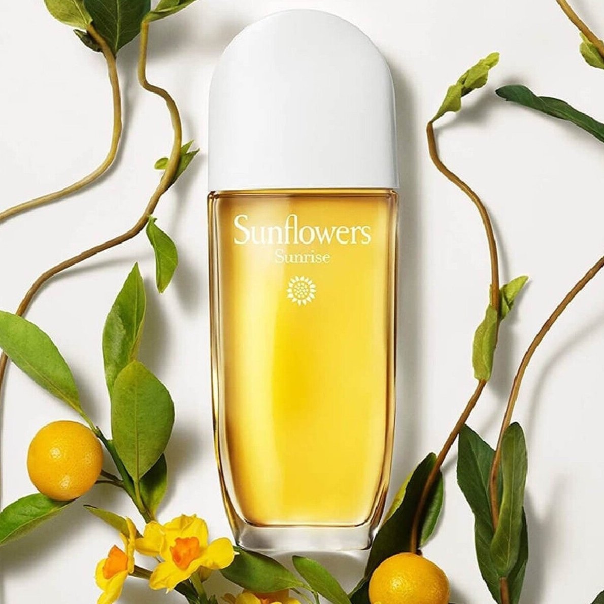 Elizabeth Arden Sunflowers EDT & Body Lotion Set For Women | My Perfume Shop