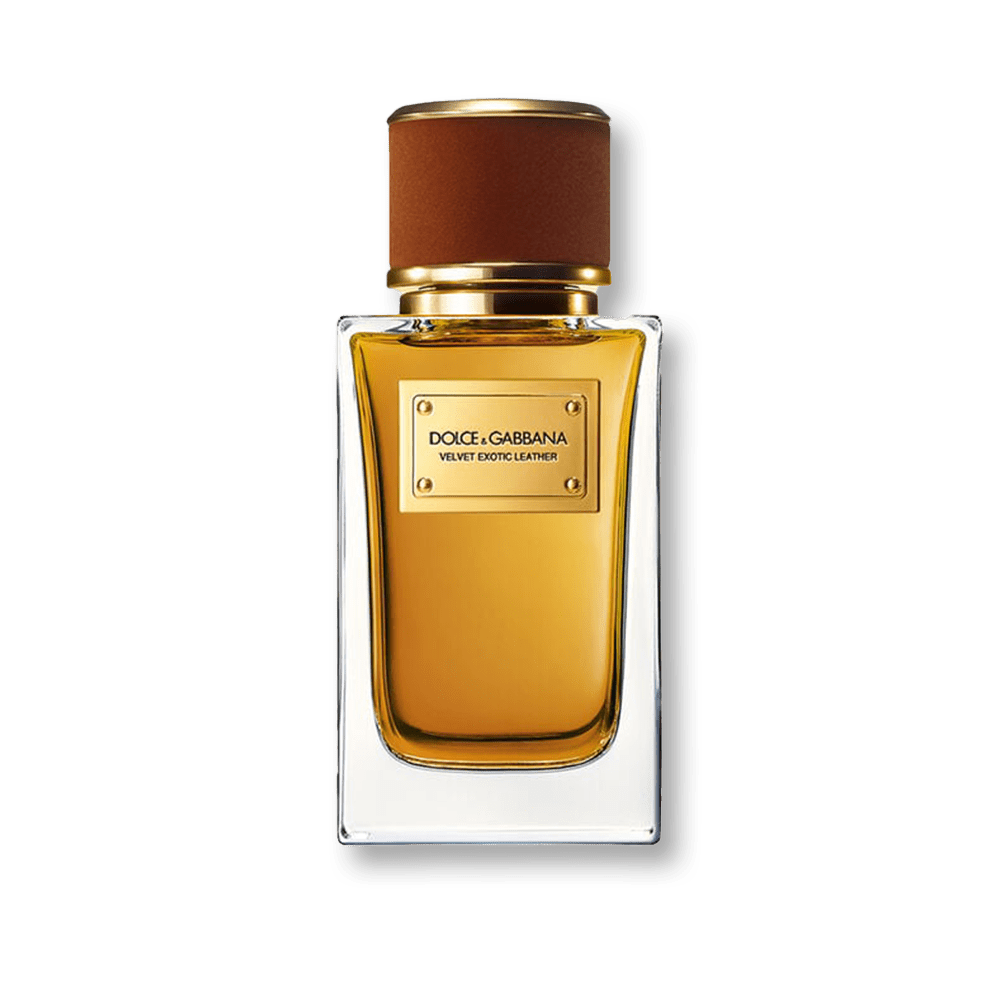 Shop Dolce & Gabbana Velvet Exotic Leather EDP | My Perfume Shop Qatar