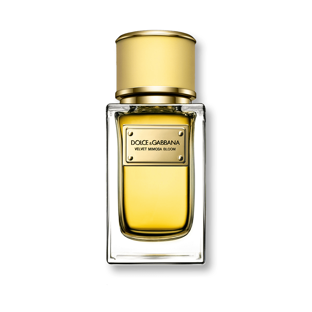 Shop Dolce & Gabbana Velvet Mimosa Bloom EDP | My Perfume Shop Qatar