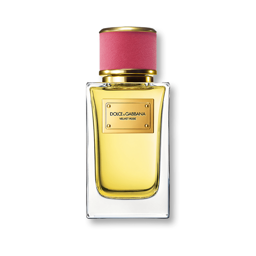 Shop Dolce & Gabbana Velvet Rose EDP in Qatar