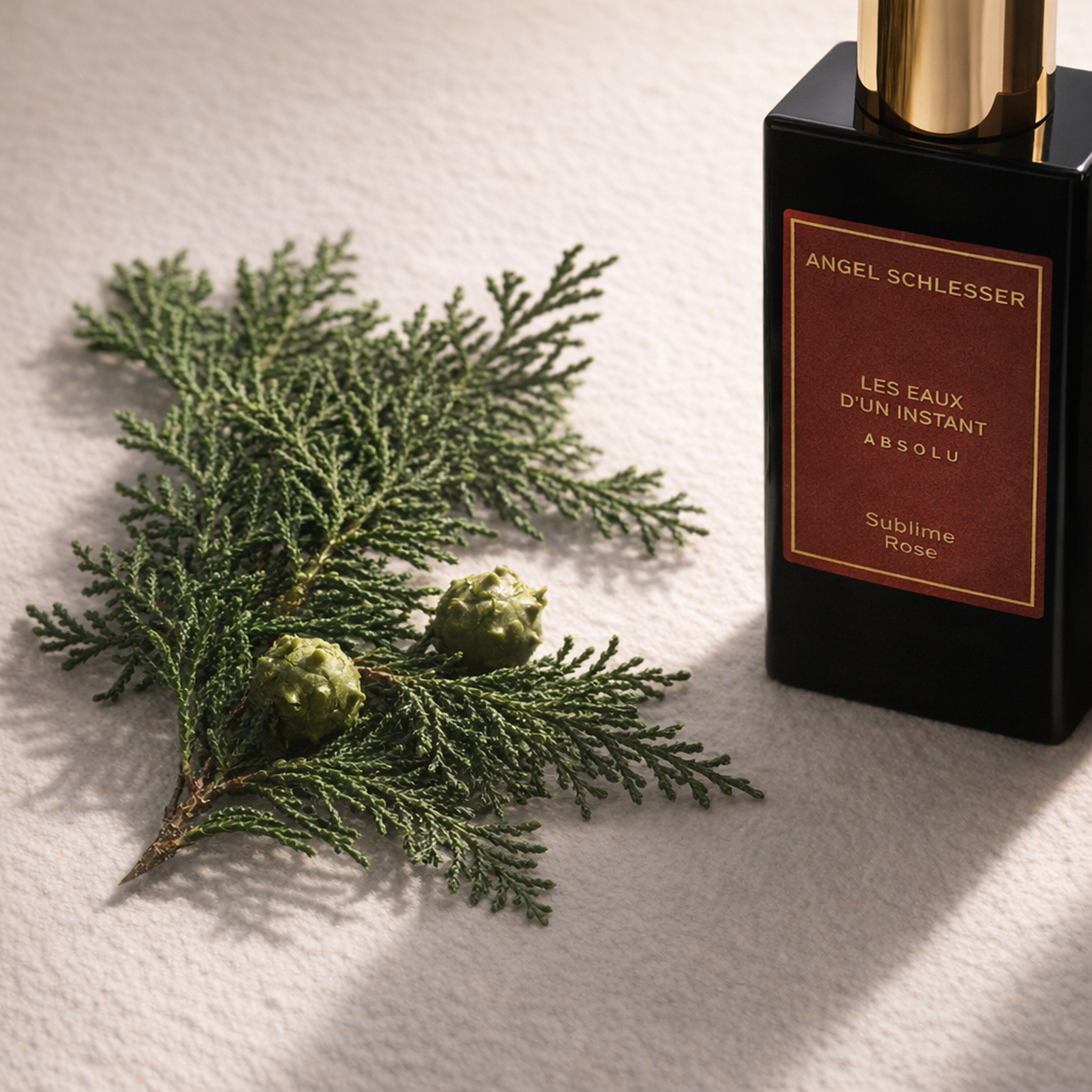 Angel Schlesser les Eaux D'un Instant Absolu Sublime Rose EDP fragrance notes image