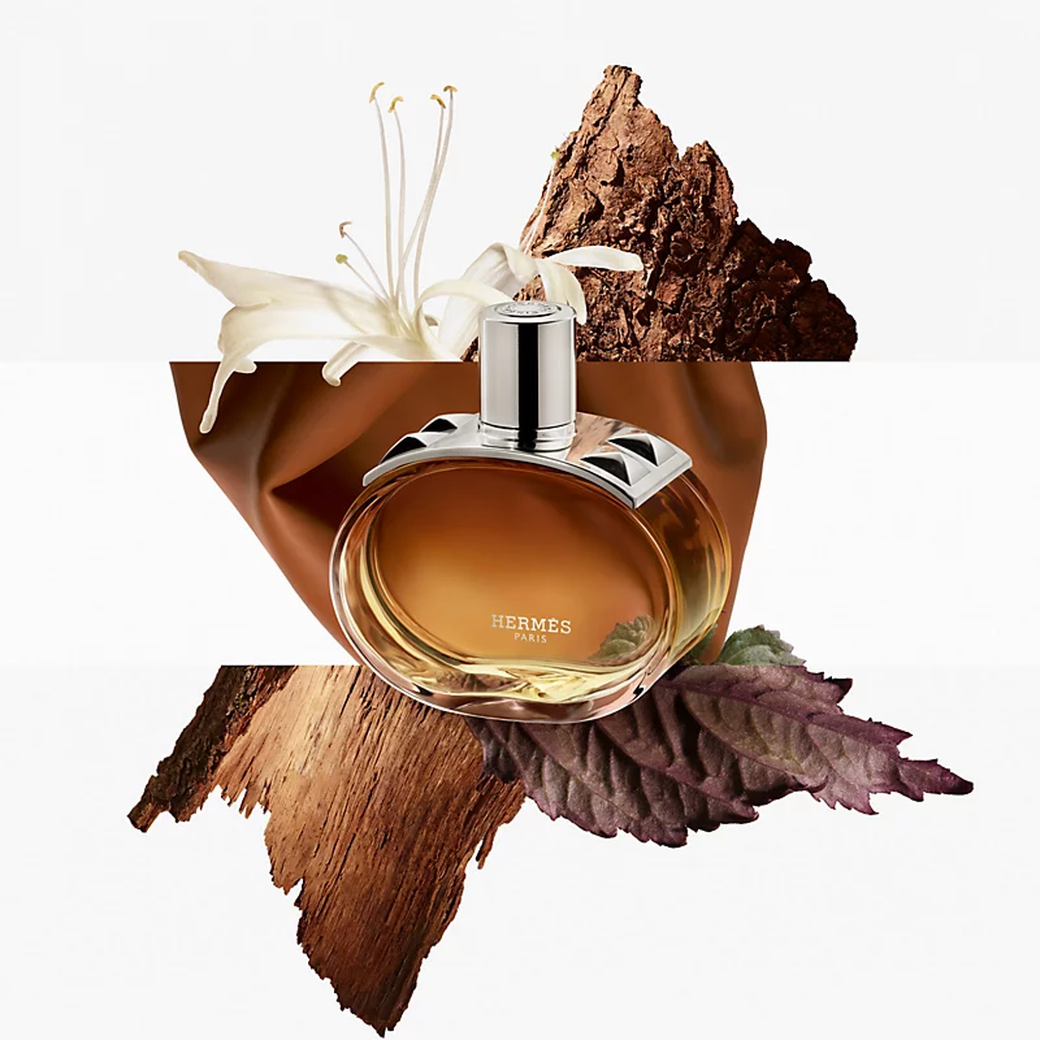 Hermes Barenia EDP Intense For Women fragrance notes image