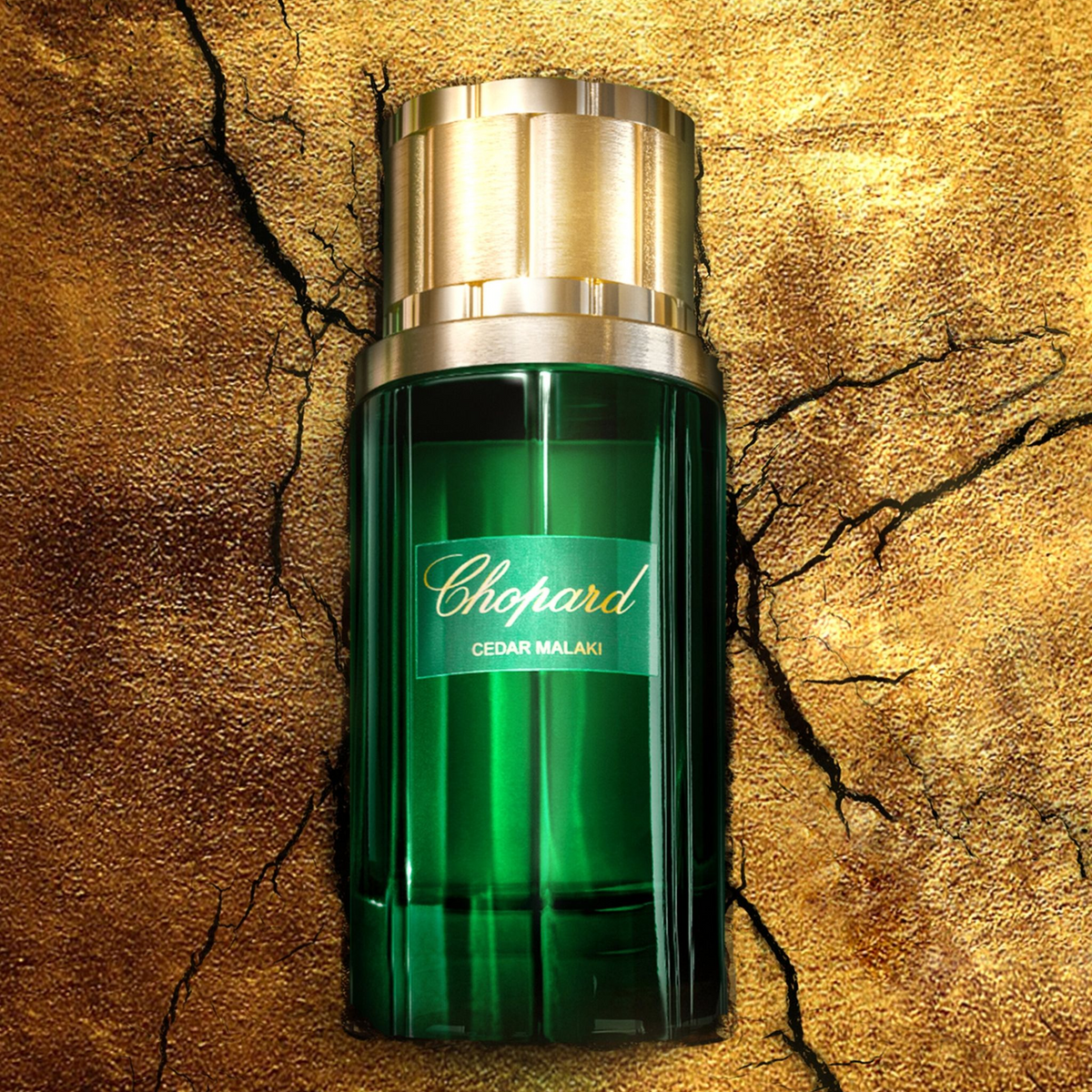 Chopard Cedar Malaki EDP fragrance details image