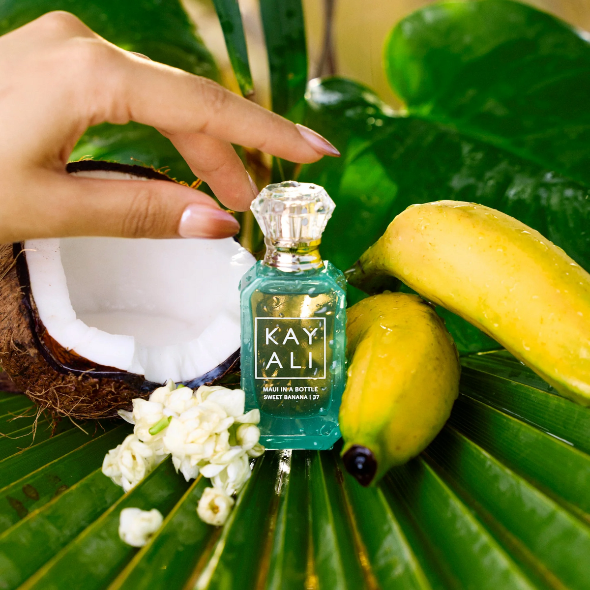 Kayali Maui In a Bottle Sweet Banana 37 EDP fragrance notes image