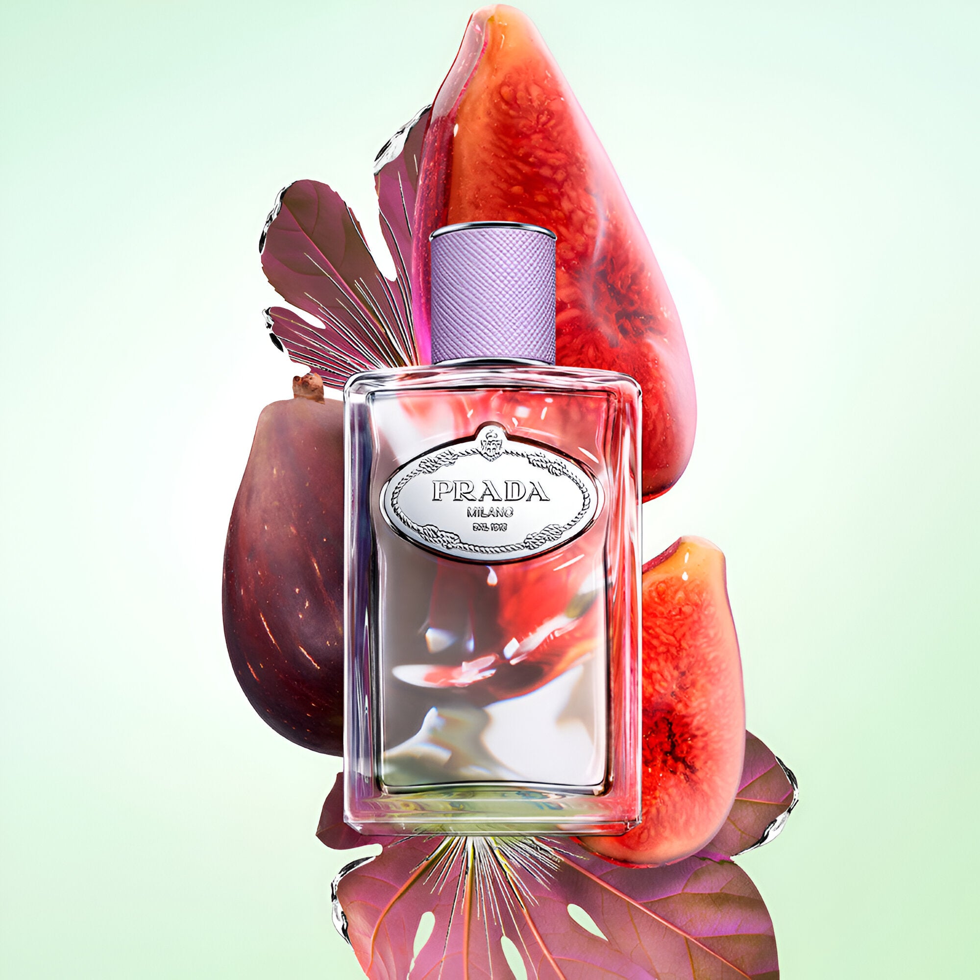 Shop Prada Infusion de Figue EDP | My Perfume Shop Qatar