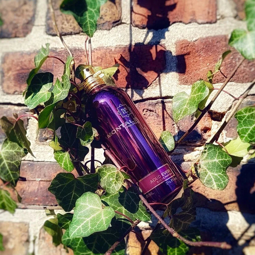 Montale Aoud Ever EDP