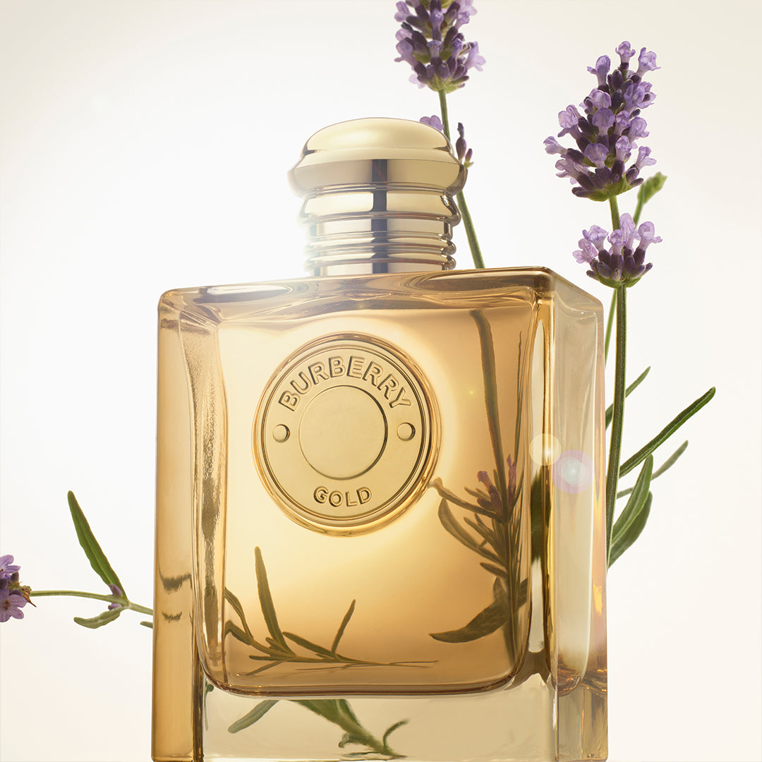 عطر بربري جولد