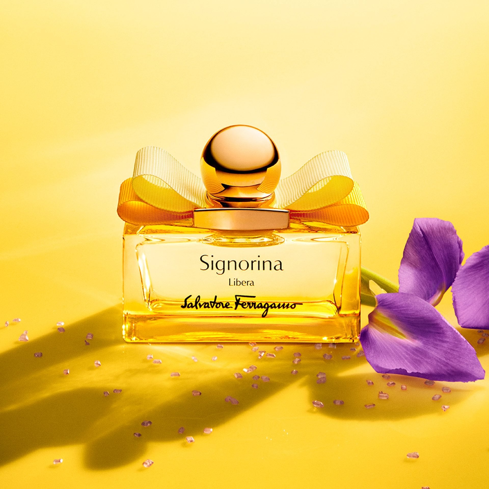 Salvatore Ferragamo Signorina Libera EDP Gift Set for Her