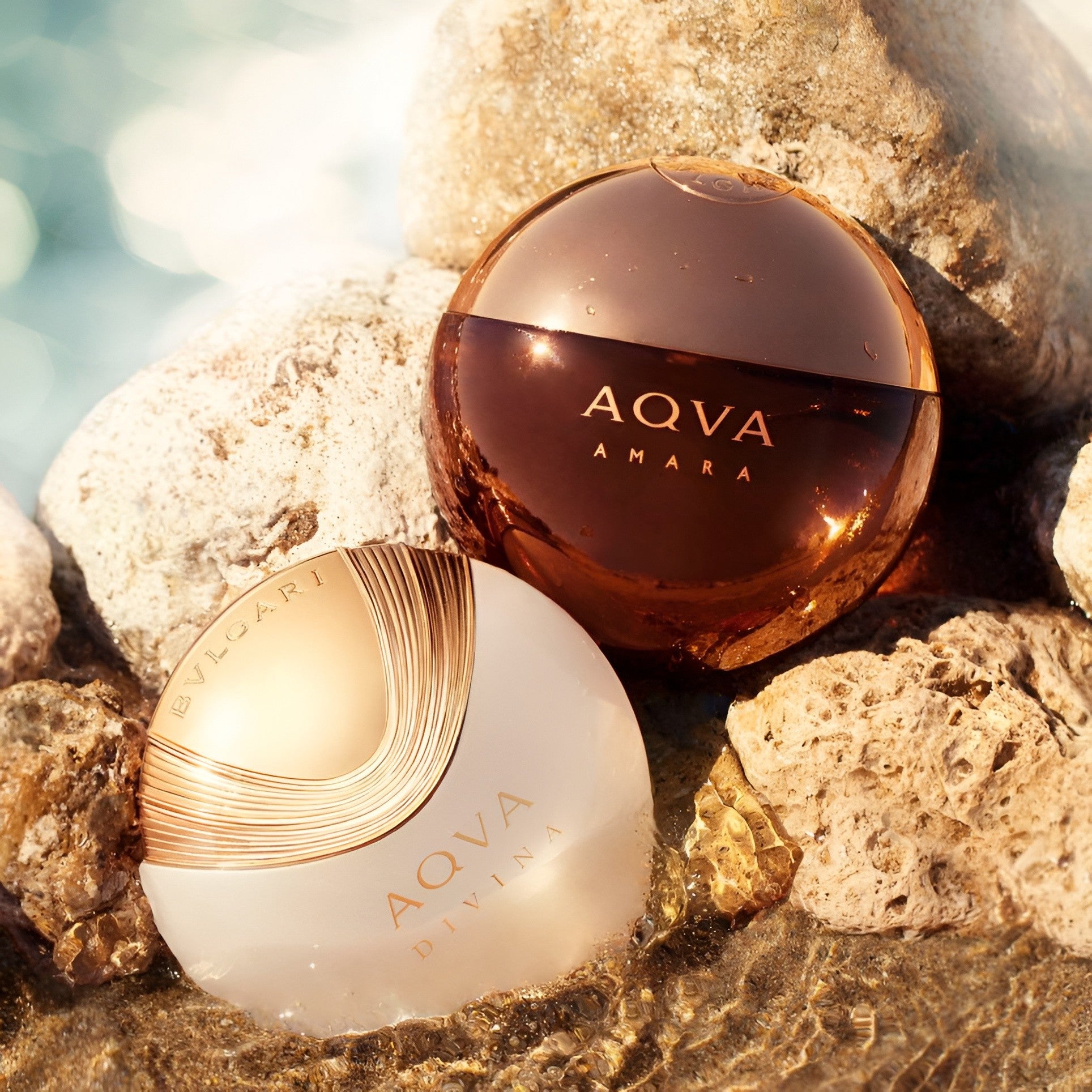 Shop Bvlgari Aqva Divina EDT for Women 40ml | My Perfume Shop Qatar