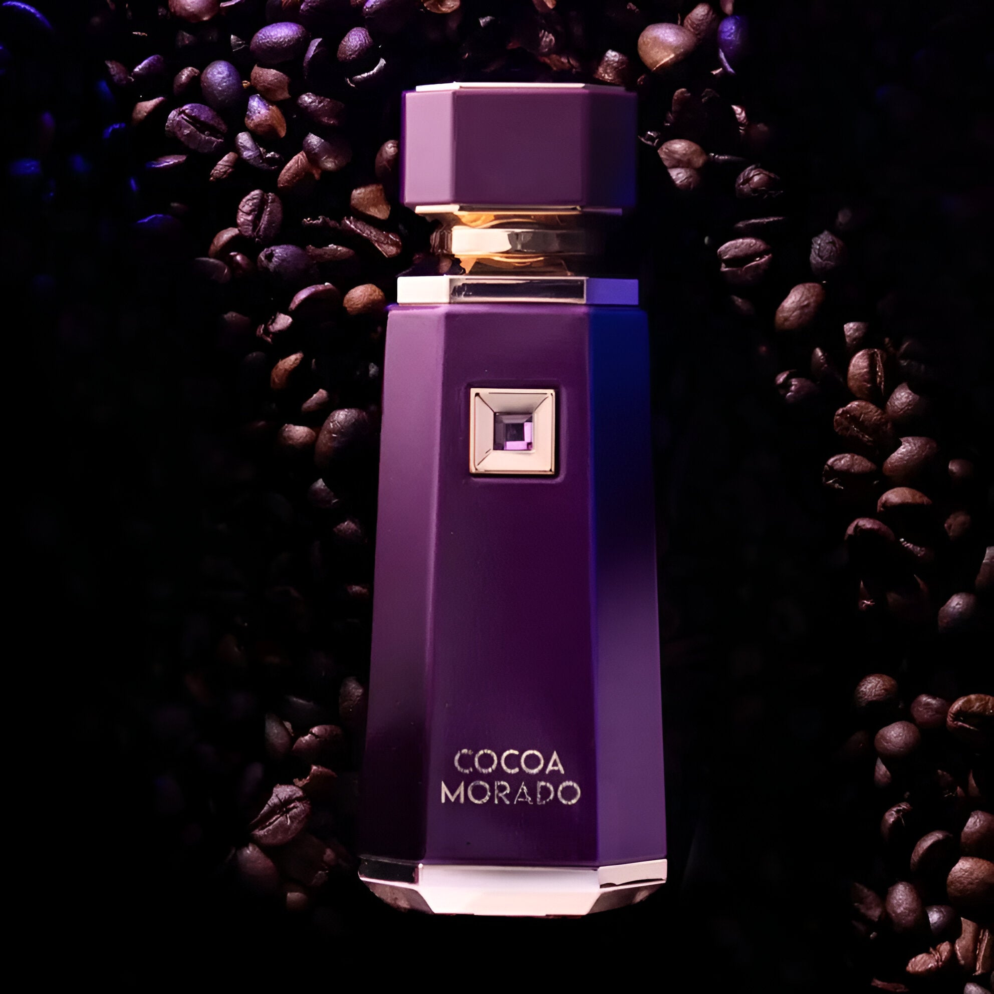 Shop French Avenue Cocoa Morado EDP 100ml | My Perfume Shop Qatar