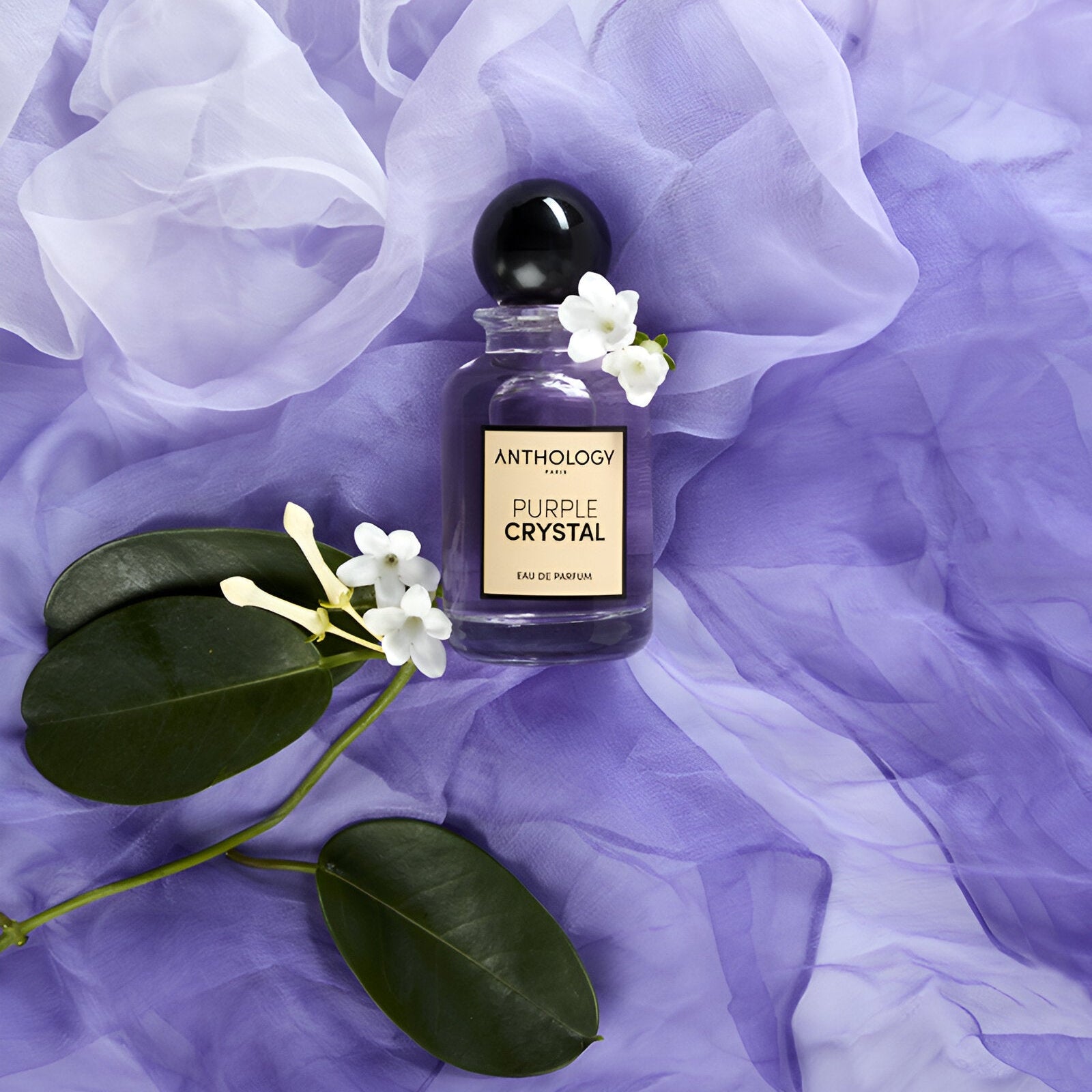 Shop Anthology Purple Crystal EDP 100ml | My Perfume Shop Qatar