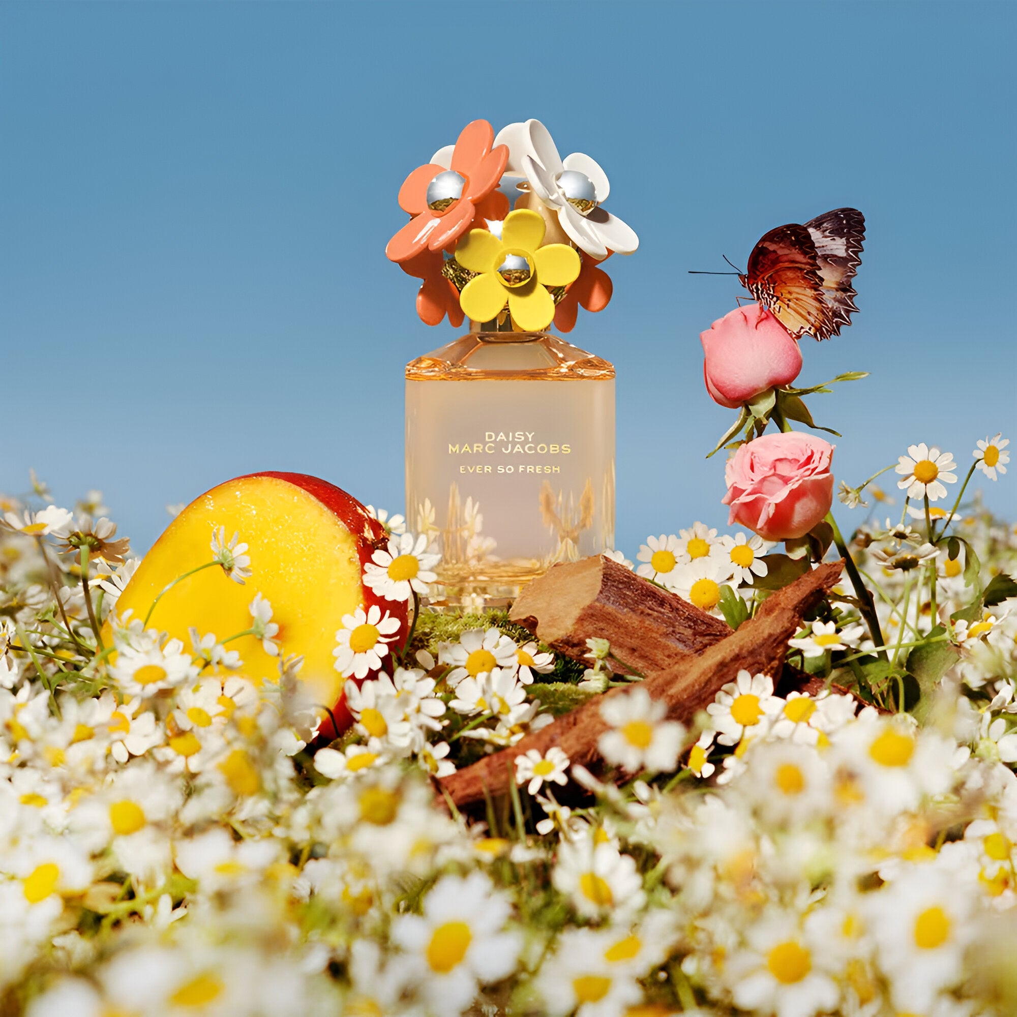 Marc Jacobs Daisy Eau So Fresh EDT Gift Set | My Perfume Shop Qatar
