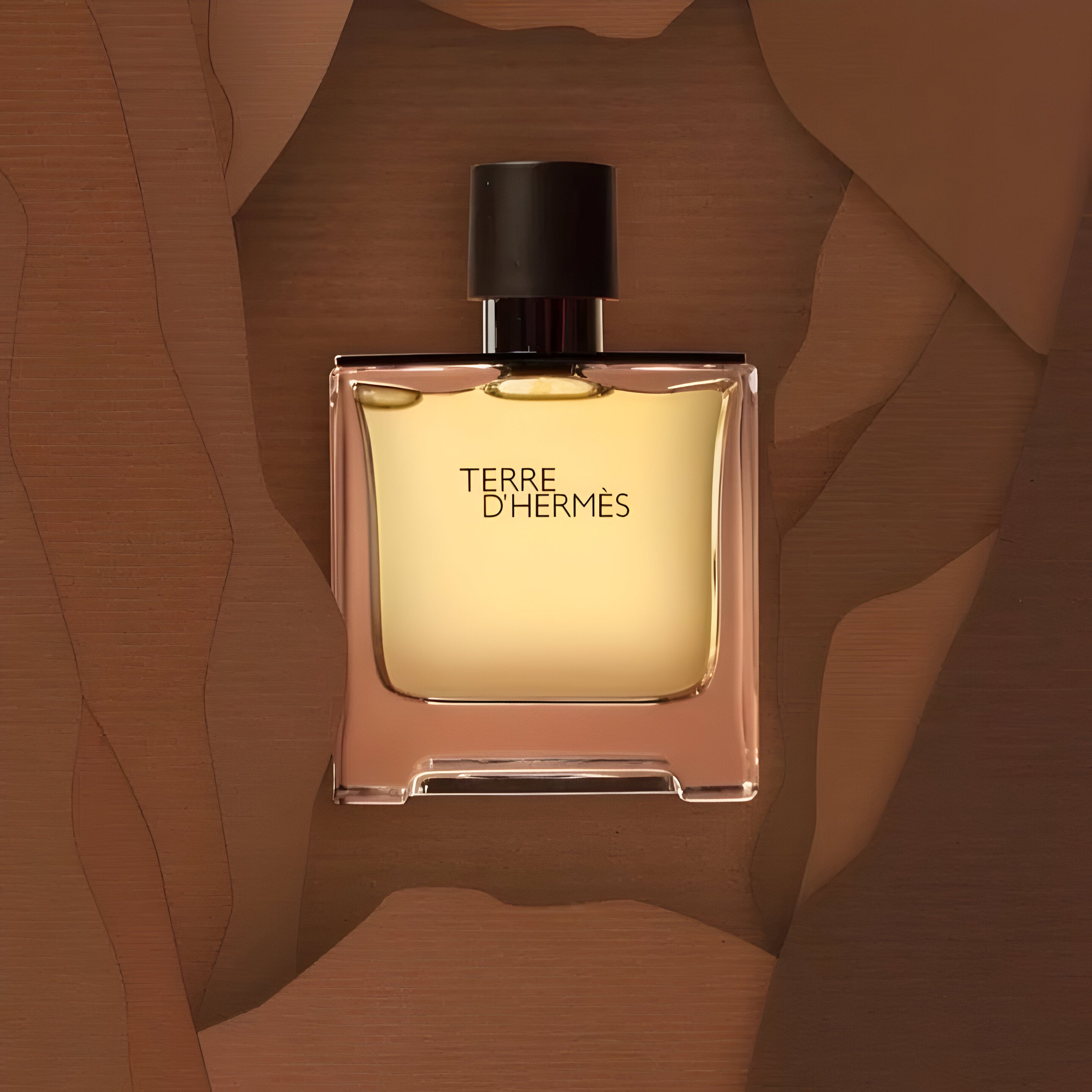 Hermes Terre D'Hermes Parfum For Men Shower Gel Gift Set | My