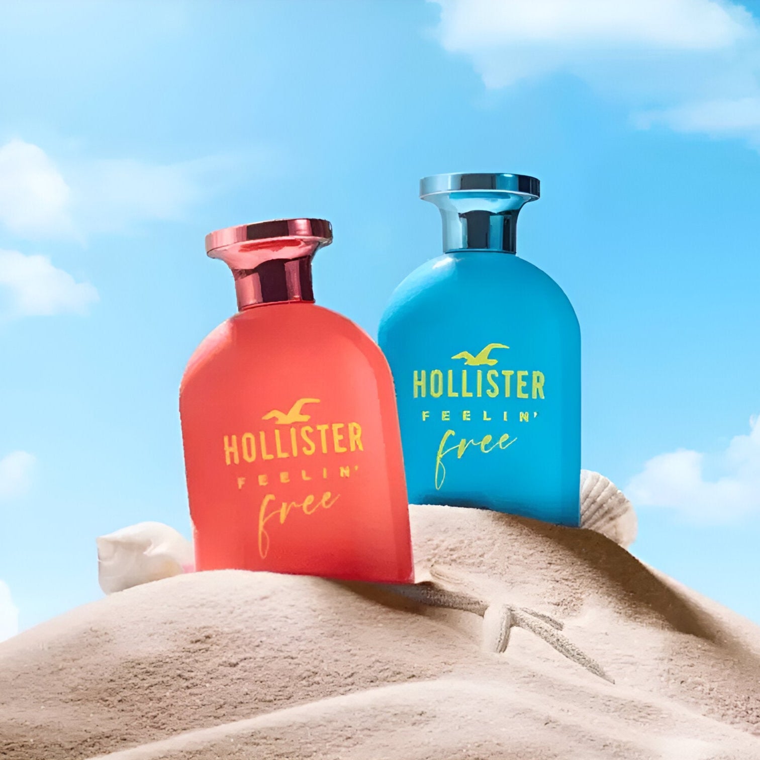 Hollister Feelin' Free EDP For Women Gift Set | My Perfume Shop Qatar
