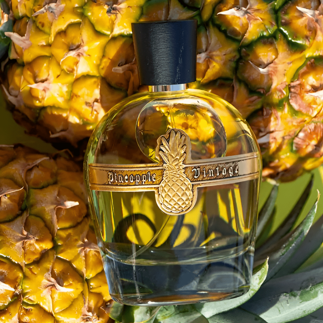 Pineapple Parfums Vintage Emperors Sunset EDP | My Perfume Shop