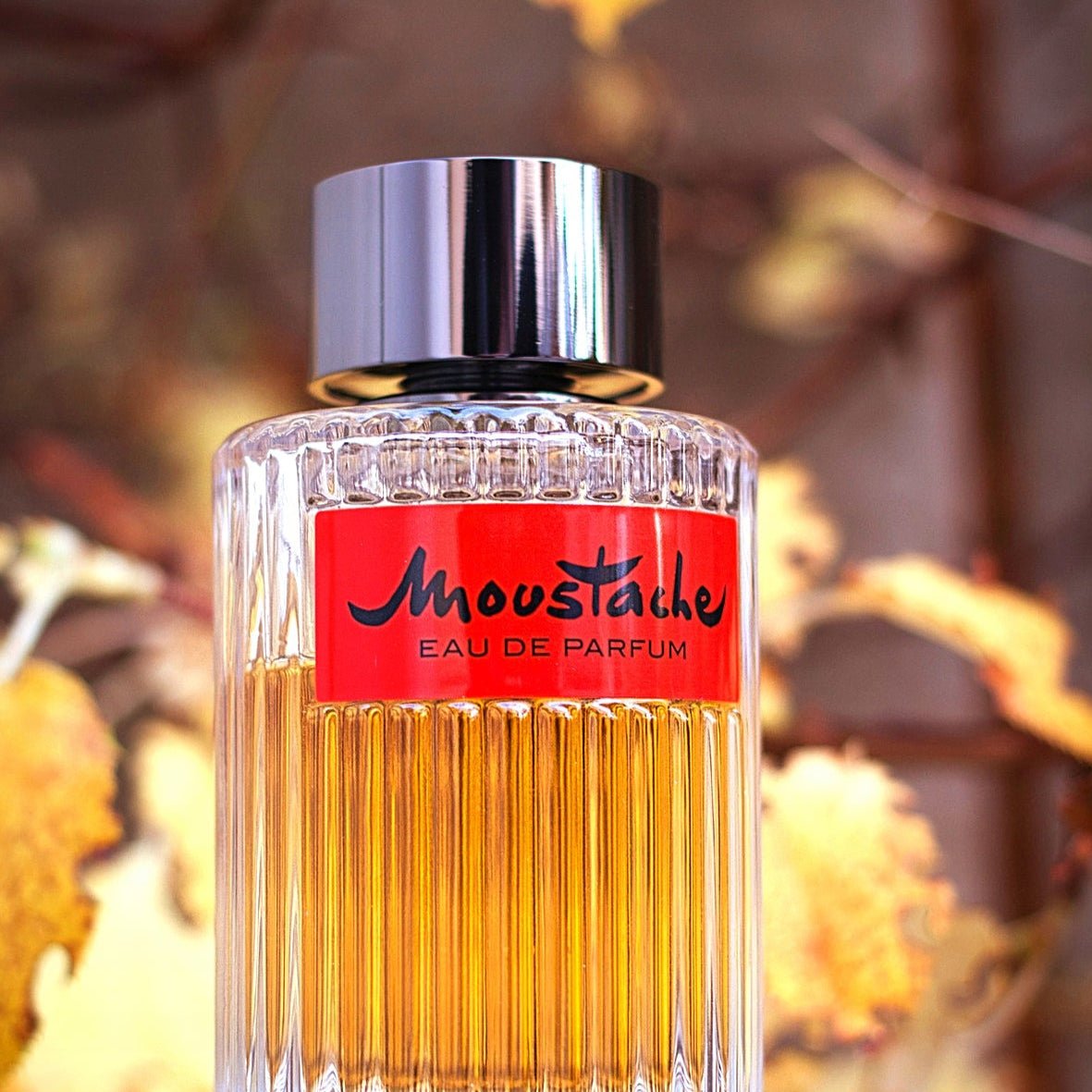 香水(男性用) Rochas Moustache EDP 125ml Rochas Men's Moustache Eau de Parfum Perfume Spray, 2.5 oz