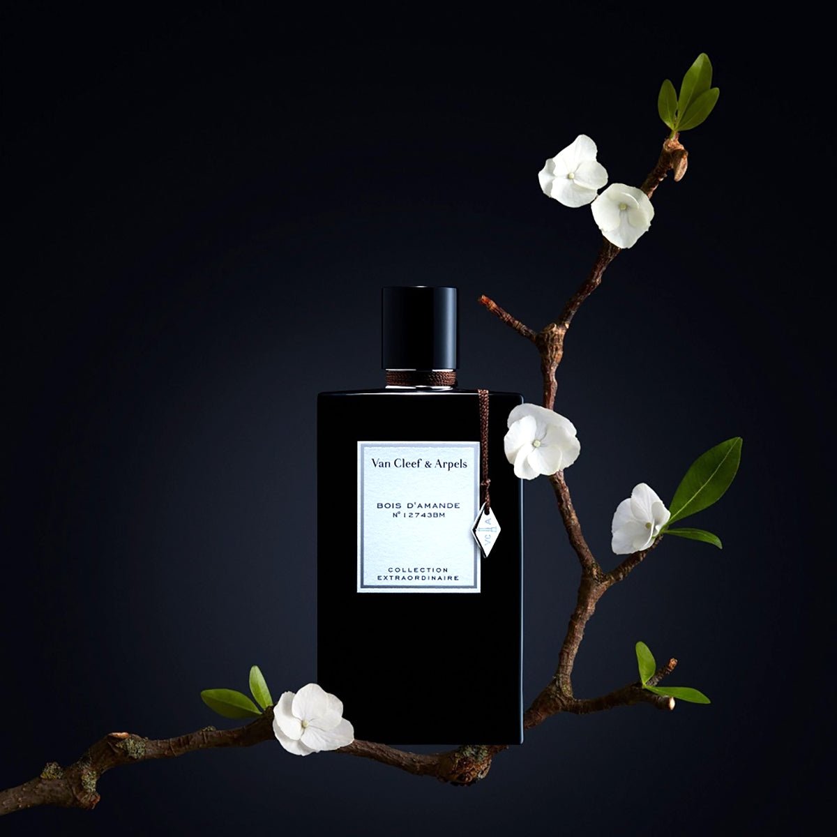Van Cleef & Arpels Collection Extraordinaire EDP Mini Set for Women | My Perfume Shop
