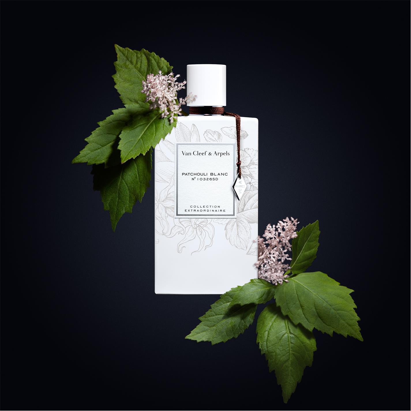 Van Cleef & Arpels Collection Extraordinaire EDP Mini Set for Women | My Perfume Shop